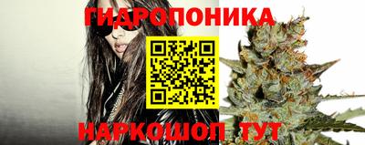 ECSTASY Жуковский