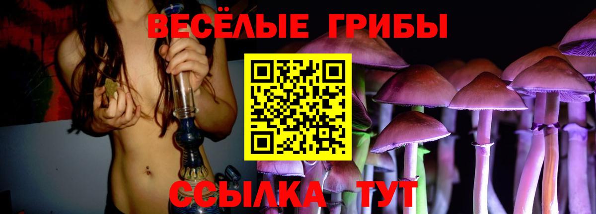 Псилоцибиновые грибы Psilocybine cubensis Лангепас